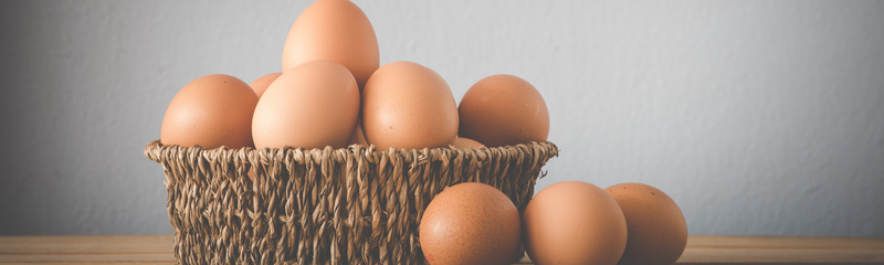 Egg allergy – prevalence, symptoms, treatment