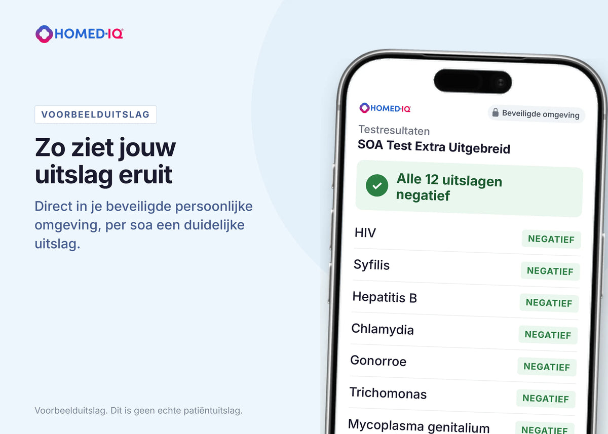 6a986af93a2c1_STI-Comprehensive-portal-example-NL.webp