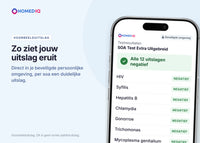 6a986af93a2c1_STI-Comprehensive-portal-example-NL.webp